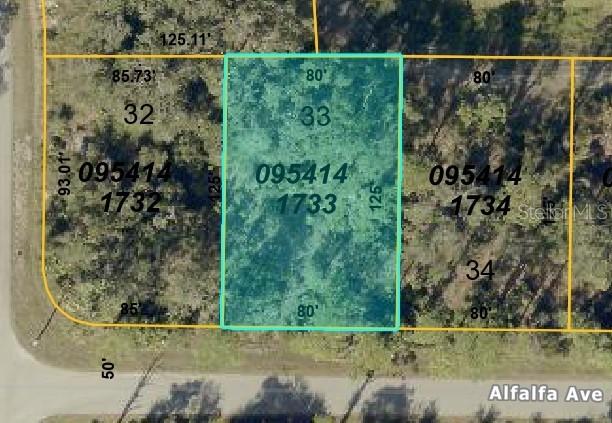 Alfalfa Ave., North Port, FL 34291