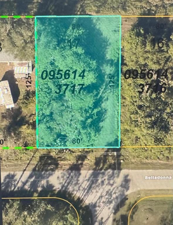 Belladonna Ave., North Port, FL 34286