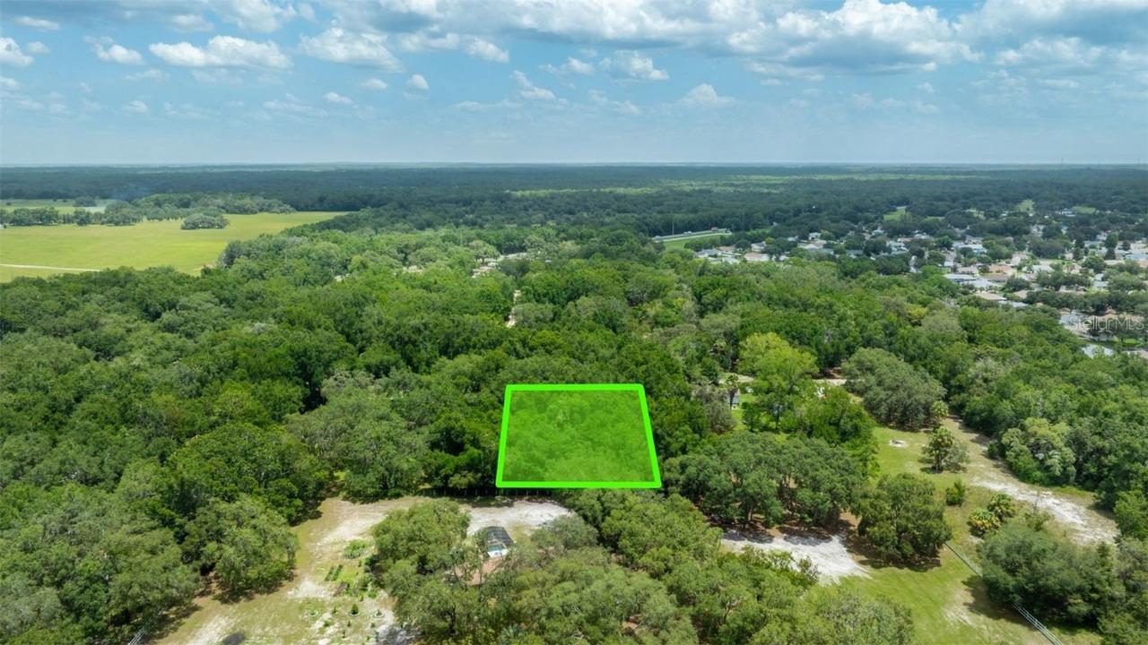 SW 141st Tract 69 Pl., Dunnellon, FL 34432