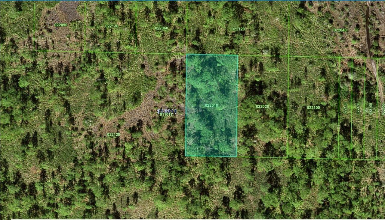 31-32-11-000000-022010 River Ranch Blvd., Lake Wales, FL 33898