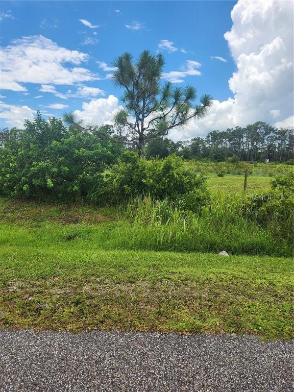84th Ave., Myakka City, FL 34251