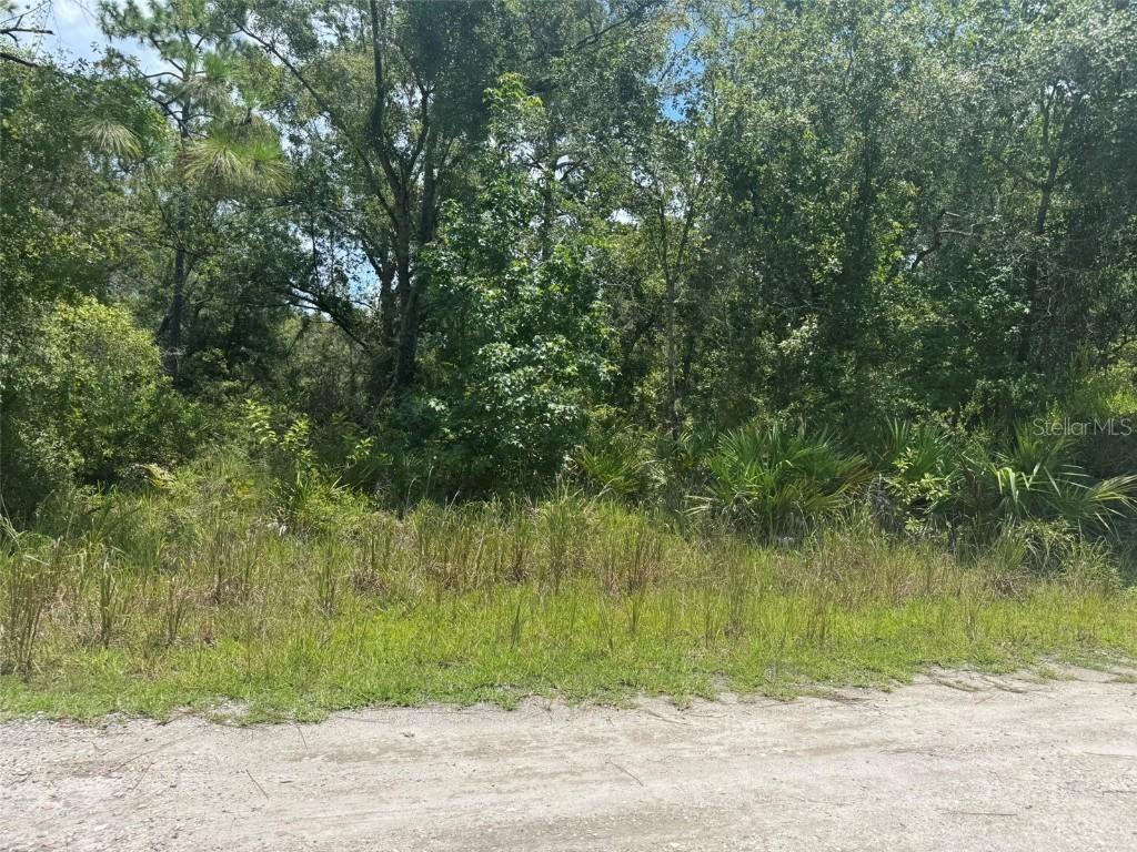 00 Lisle Ave., New Port Richey, FL 34654