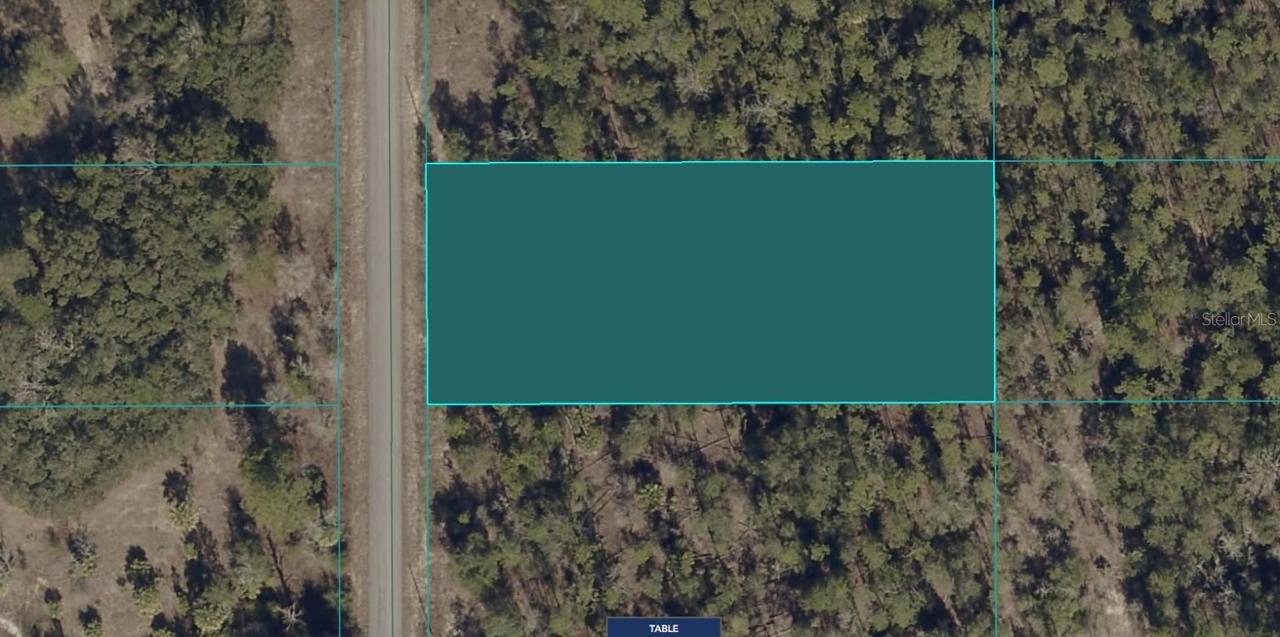 1811-016-025 SW Little Cliffs Dr., Dunnellon, FL 34431