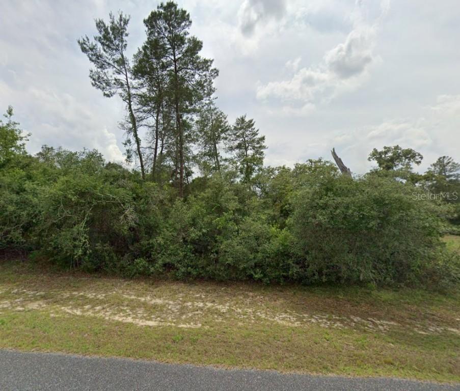Lot 7 36th Ave., Ocala, FL 34473