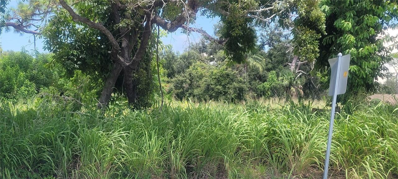 Old Tr., Nokomis, FL 34275