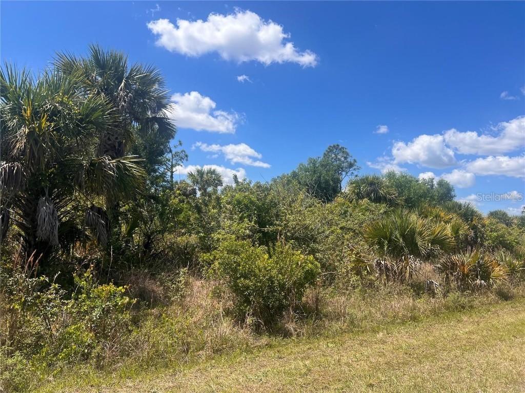 Crimsonglory Rd., North Port, FL 34288