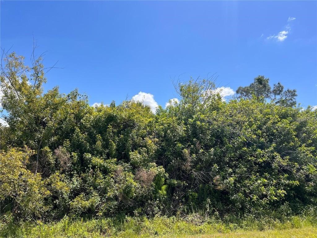 Blueleaf Dr., North Port, FL 34288