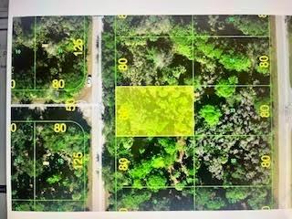 3294 Century St., Port Charlotte, FL 33948