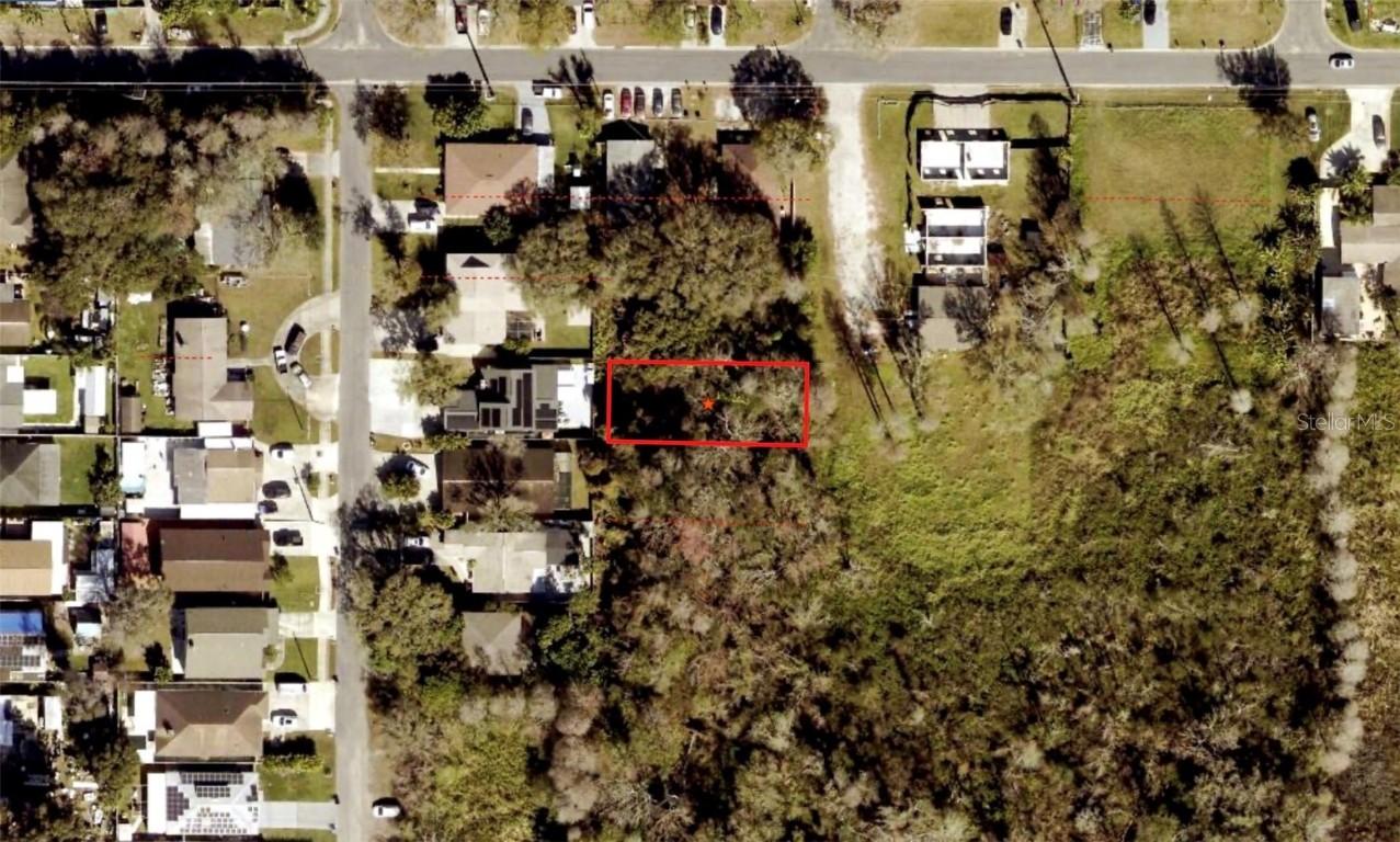 Blossom Ave., Tampa, FL 33614