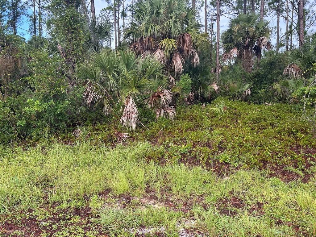 Dennis St., North Port, FL 34286