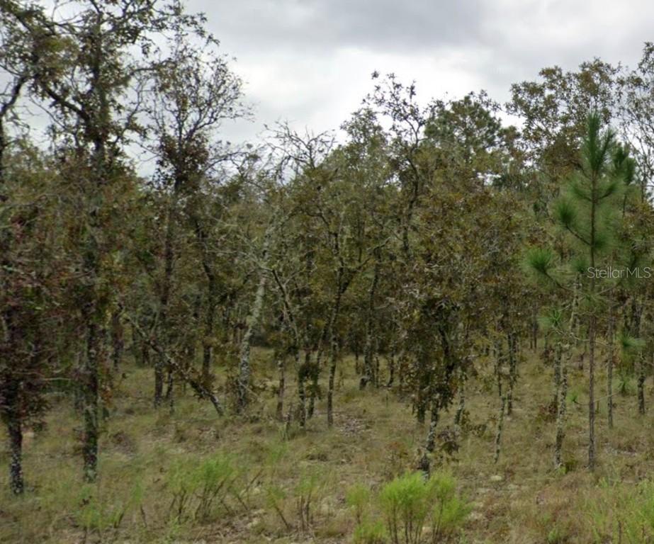 Ne 11th Street St., Williston, FL 32696