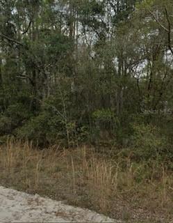 Kent Ave., Interlachen, FL 32148