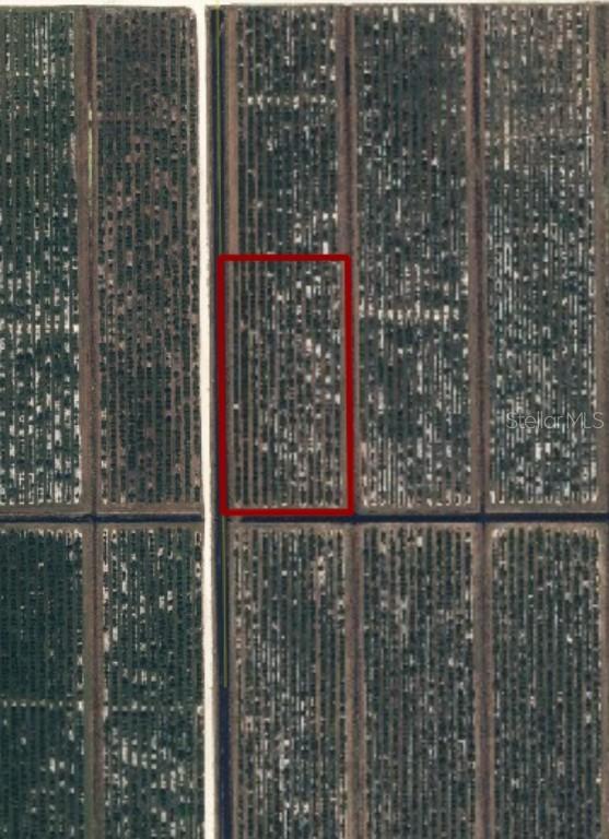 NE Highway 70, Arcadia, FL 34266