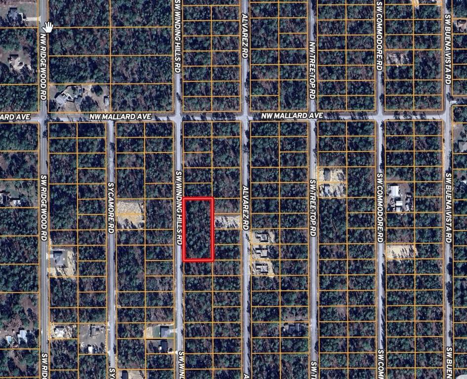 0 TBD SW Winding Hills Rd., Dunnellon, FL 34431