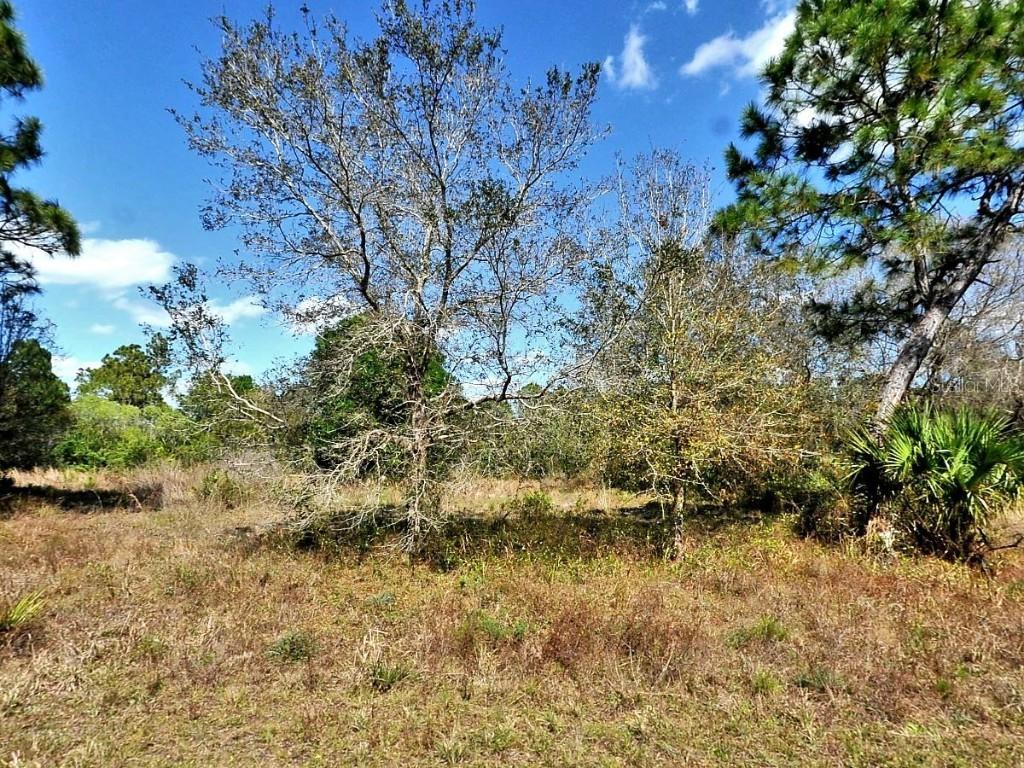 Nocturn St., North Port, FL 34288