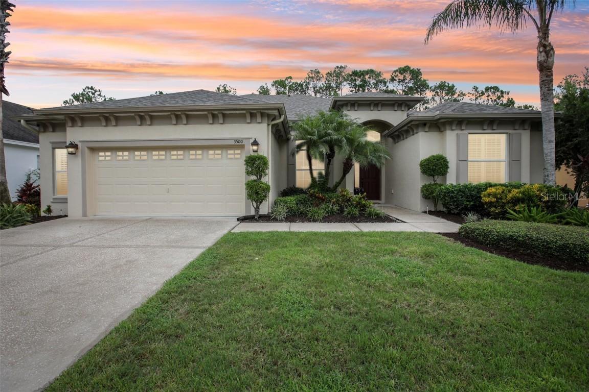 3500 Grassglen Pl., Wesley Chapel, FL 33544
