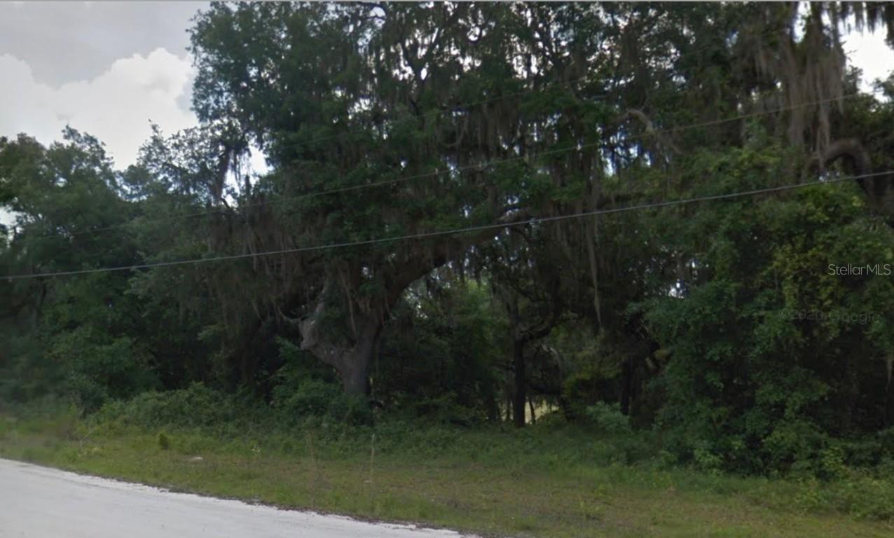 Se 178th Ave, Silver Springs, FL 34488