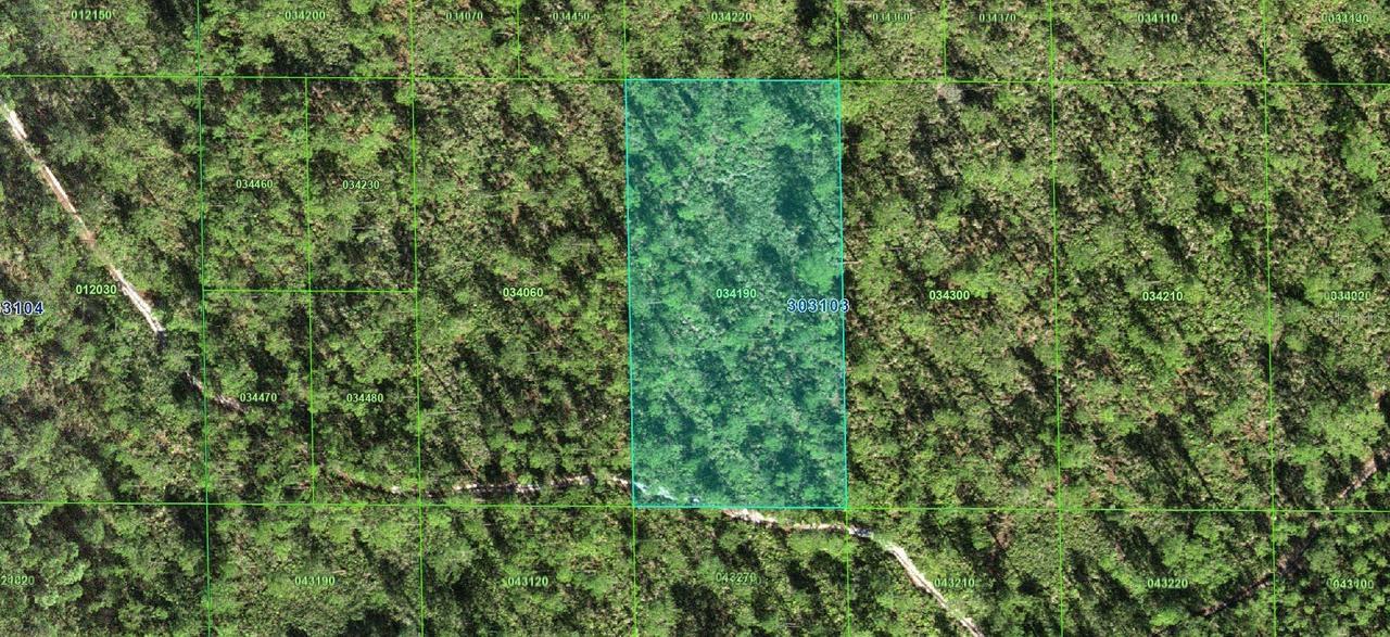 30-31-03-000000-034190 Inaaccesible Track, Lake Wales, FL 33898