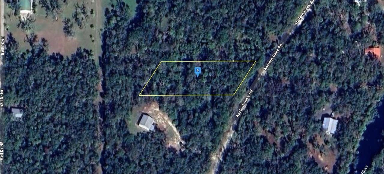 2297 Ancient Oaks Rd., Steinhatchee, FL 32359