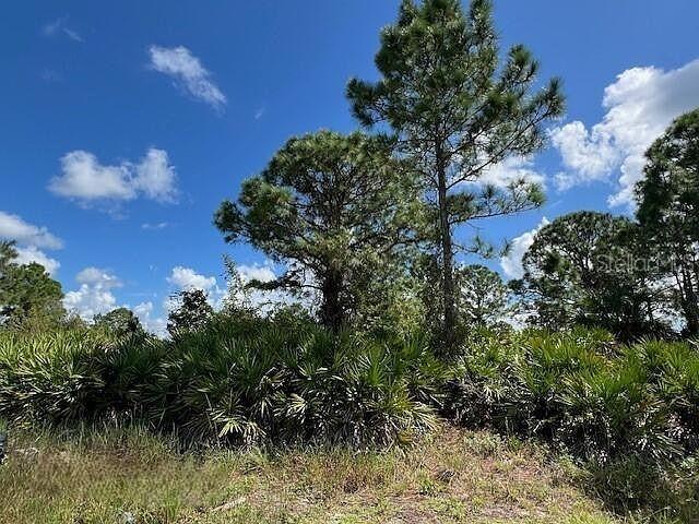 1253 Barnet Ave., Fort Myers, FL 33913