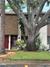 New Homes For Sale This Week in Titusville: September 5th to September 11th