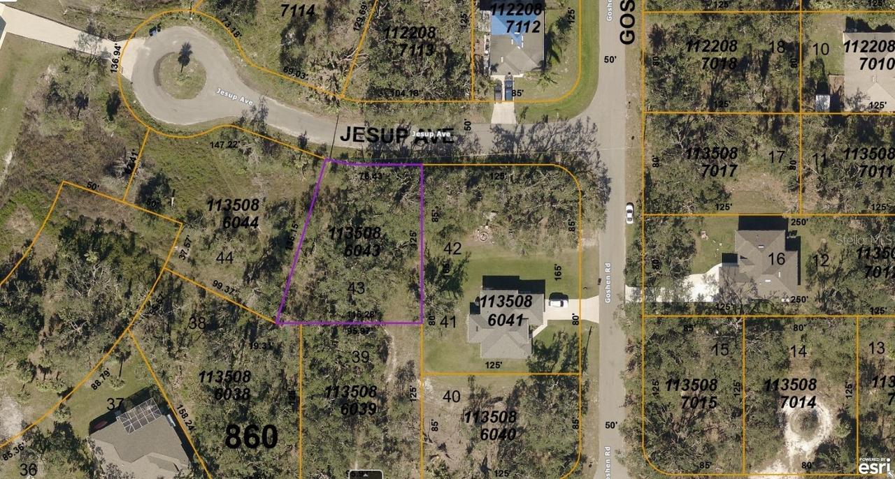 1135086043 Jesup Ave., North Port, FL 34288