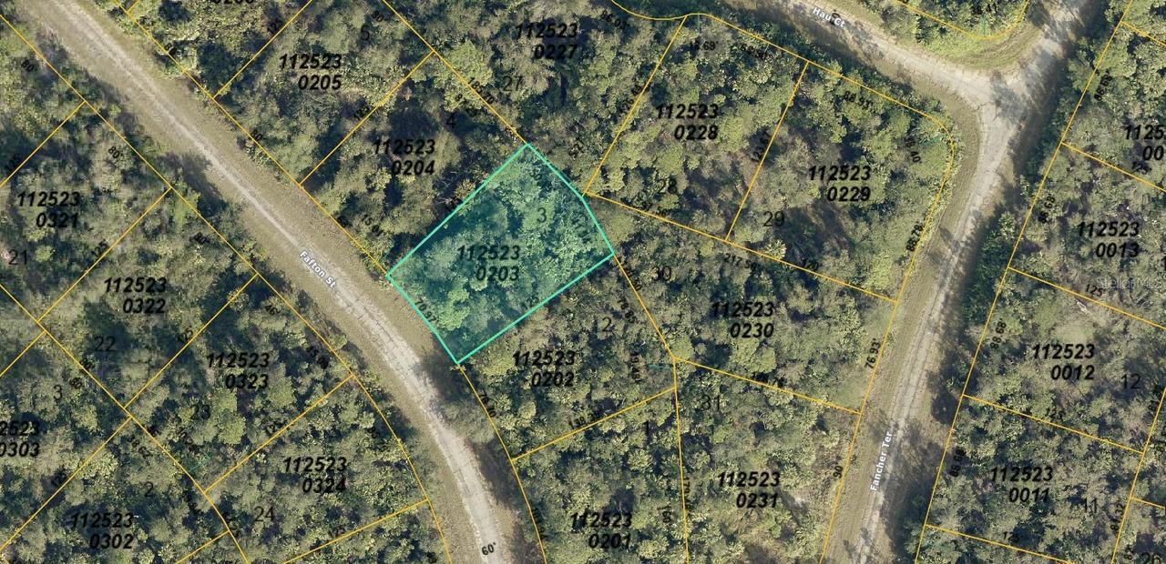 1125230203 Fafton St., North Port, FL 34288