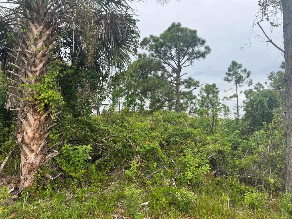 8185 Dimstead St., Port Charlotte, FL 33981