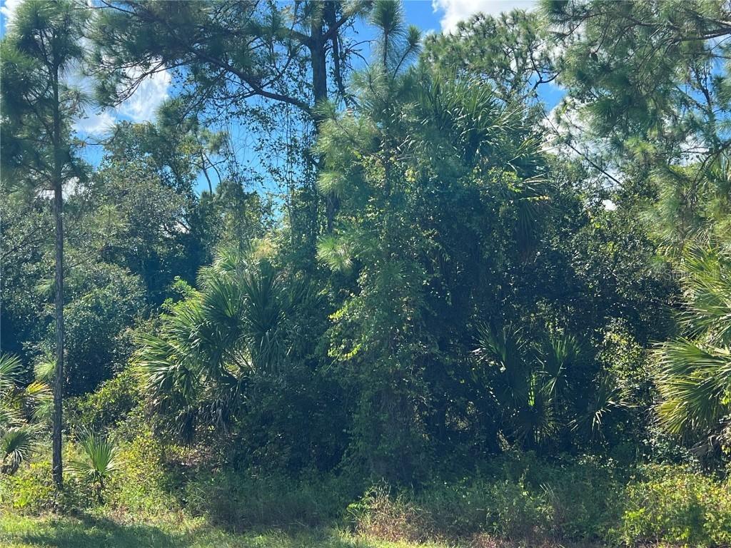 299 Troutdale St., Port Charlotte, FL 33954
