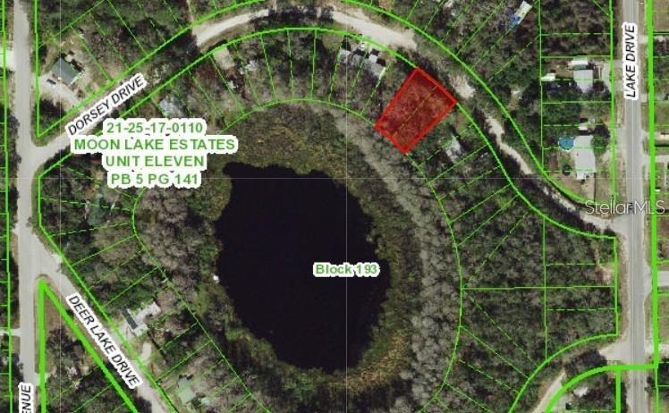 Dorsey Drive - Lot 10 &11, New Port Richey, FL 34654