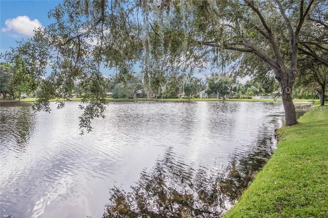 New Homes with In-ground Swimming Pools That Attend Gene Witt Elementary School: October 5th to October 11th