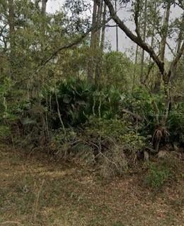 Brush St., Interlachen, FL 32148