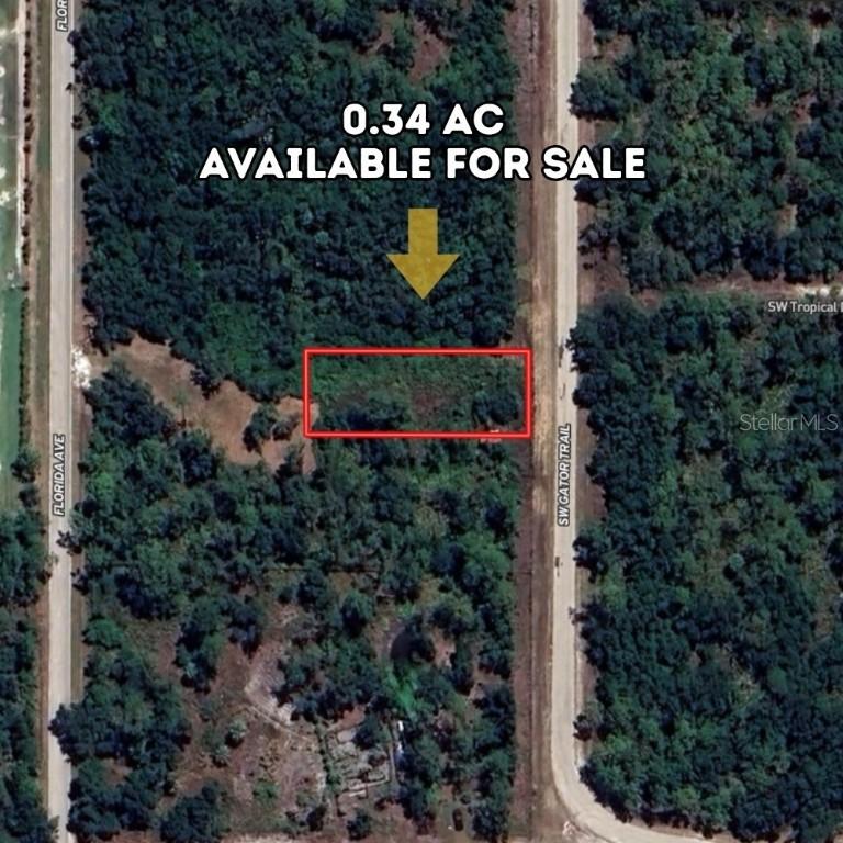 1677 SW Gator Tr., Arcadia, FL 34266