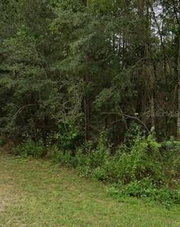 Eleventh, Williston, FL 32696