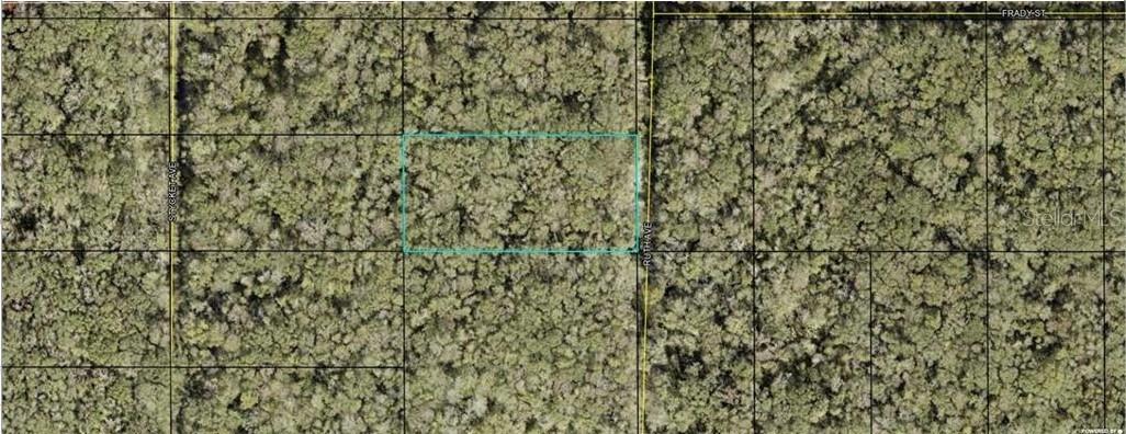 21-10-28-2775-00050-0177 Ruth Ave., Hastings, FL 32145