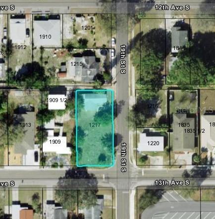 1217 19th St., St Petersburg, FL 33712