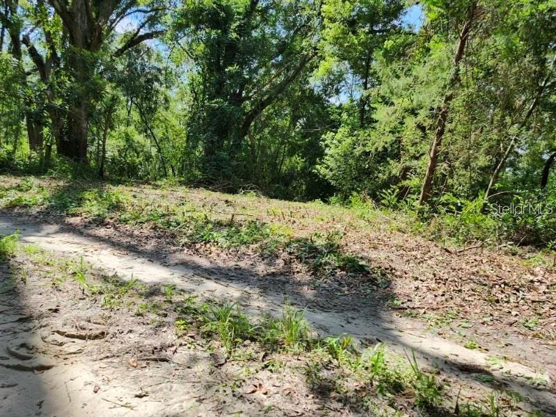 147th Rd., Live Oak, FL 32060