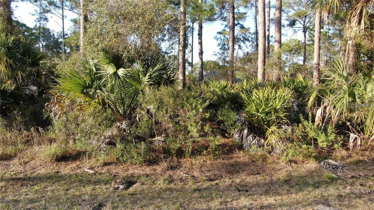 Trapp St., North Port, FL 34291