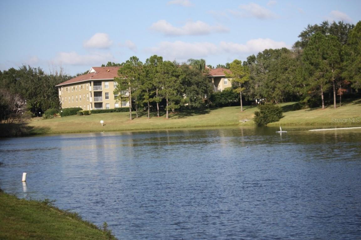 2690 Coral Landings Blvd. #523, Palm Harbor, FL 34684