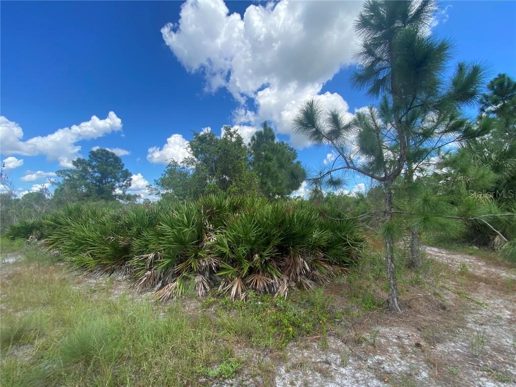 2808 45th St., Lehigh Acres, FL 33971