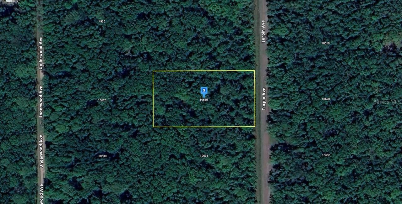 10625 Turpin Ave., Hastings, FL 32145