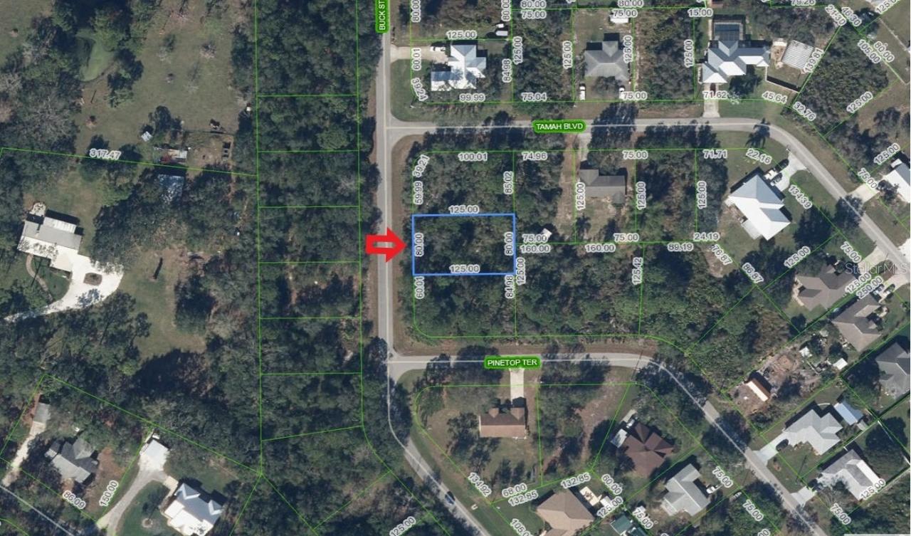 1541 Buck St., Lake Placid, FL 33852