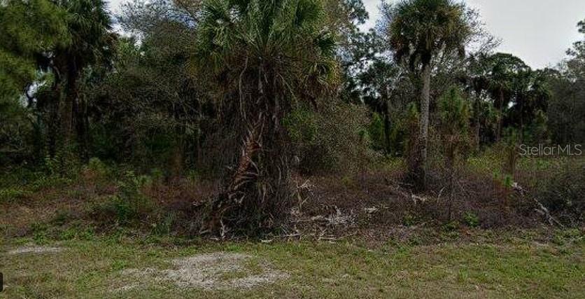 256 Ravenswood Blvd., Port Charlotte, FL 33954