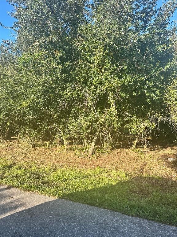 13 Sunflower St., Punta Gorda, FL 33982
