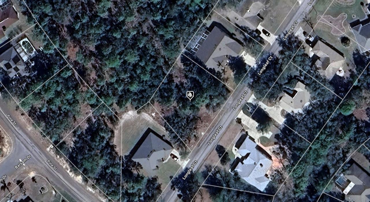 4 Longleaf Ct., Homosassa, FL 34446