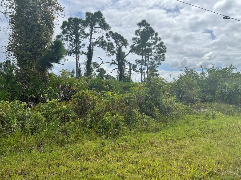 8178 Dimstead St., Port Charlotte, FL 33981