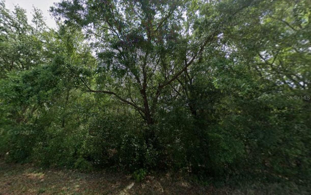 86 Chinaberry Cir., Homosassa, FL 34446
