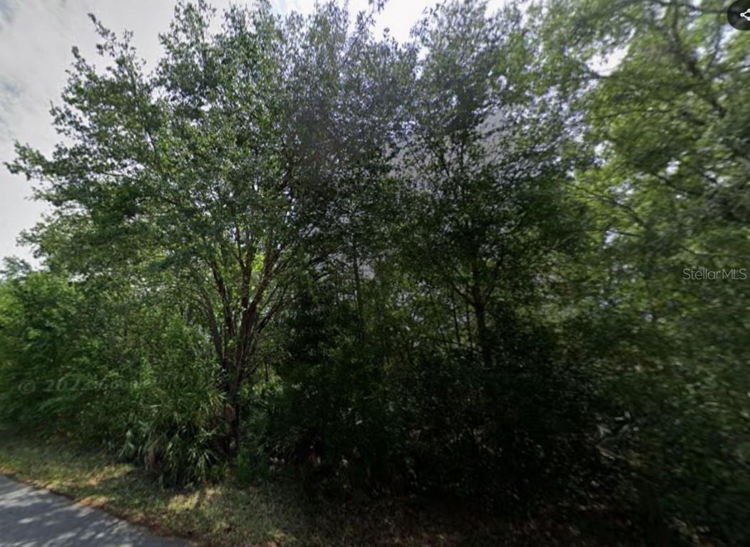 88 Chinaberry Cir., Homosassa, FL 34446