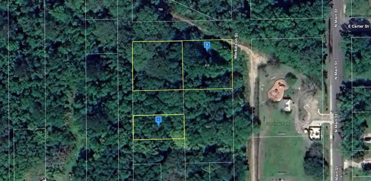 615 Merkerson St., Hastings, FL 32145