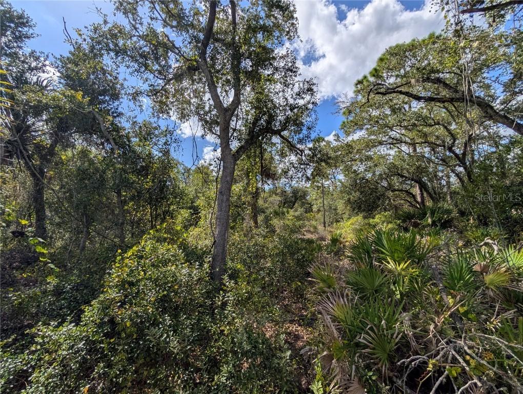 181 Juper St., Port Charlotte, FL 33953